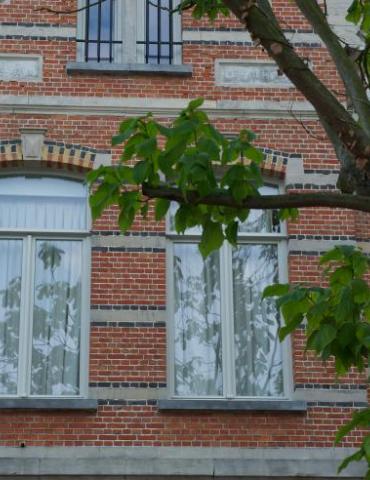 Wanneer ramen vervangen?